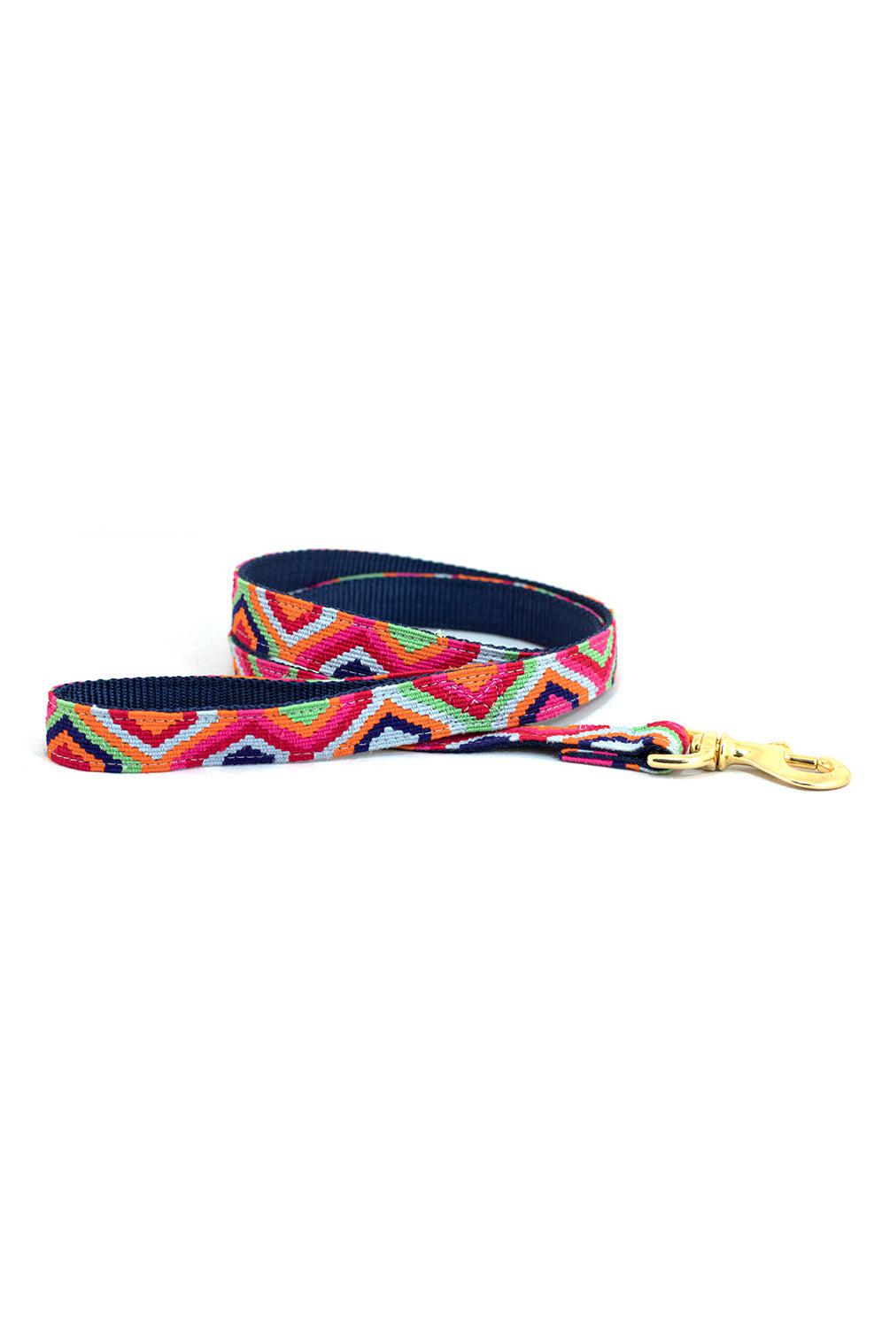 A Tail We Could Wag Retro Dog Leash